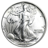 Silver coin American Silver Eagle 1 oz (1986)