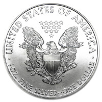 Stříbrná mince American Silver Eagle 1 oz (2010)