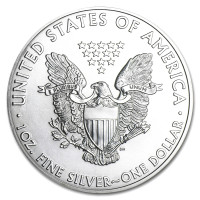 Stříbrná mince American Silver Eagle 1 oz (2011)