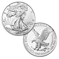 Stříbrná mince American Silver Eagle 1 oz (2021) Type2