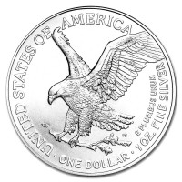 Stříbrná mince American Silver Eagle 1 oz (2022)