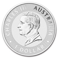 Stříbrná mince Australian Kangaroo 1 oz (2026)