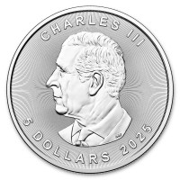 Strieborná minca Canadian Maple Leaf 1 oz (2025)