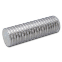 Stříbrná mince Koala 1 oz (2025)