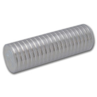 Stříbrná mince Kookaburra 1 oz (2026)