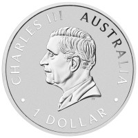 Stříbrná mince Orel klínoocasý - Wedge-tailed Eagle 1 oz (2024) - 10. VÝROČÍ