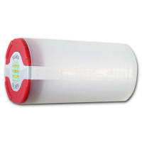 Stříbrná mince Wiener Philharmoniker 1 oz (2019)