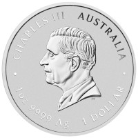 Stříbrná mince Year of the Goat - Rok Kozy 1 oz (2027)