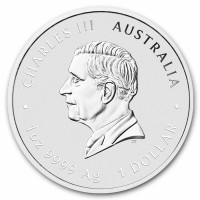 Stříbrná mince Year of the Goat - Rok Kozy 1 oz (2027)