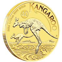 Zlatá minca Australian Kangaroo 1/10 oz 2026 40. výročie