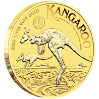 Zlatá mince Australian Kangaroo 1/4 oz 2026 40. výročí
