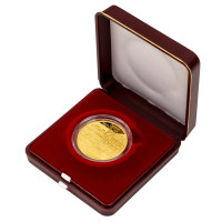 Zlatá mince ČNB 5.000 Kč Plzeň PROOF 1/2 oz