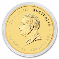Zlatá mince Year of the Horse - Rok Koně 1 oz (2026)